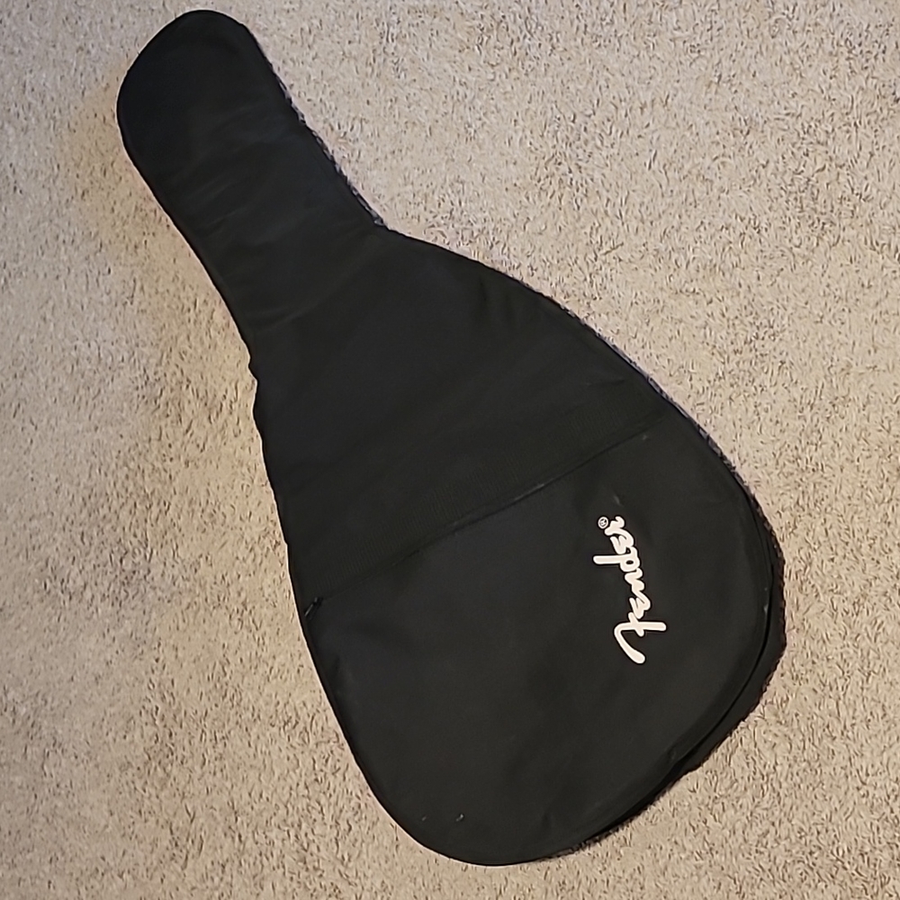 Fender Guitar Bag Case